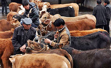天潤新東制冷罐出口印度 實現(xiàn)南亞乳業(yè)"冷"突破